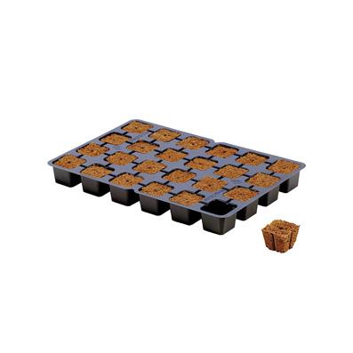 Eazy Plug Dried Starter Plugs & Pyramid