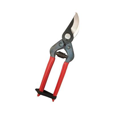 Chikamasa Shears / Pruners / Scissors (Curved + Straight)