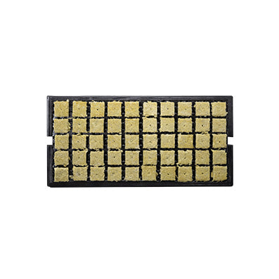 Grodan Stone Wool 1.5" A-OK Starter 50 Plugs in Prefilled Tray (Sale 20% OFF)