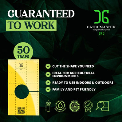 Catchmaster Crawl Cards 3" x 5"