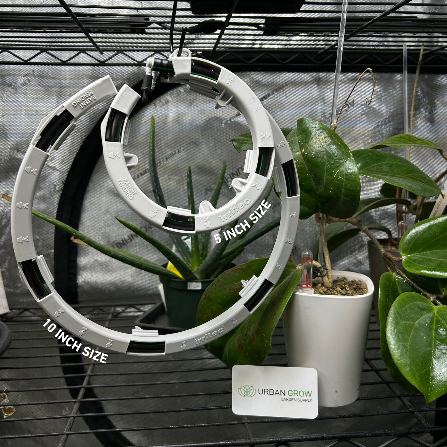 Blumat Drip Rings