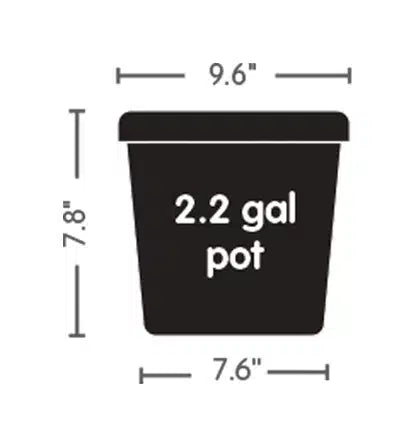 AutoPot 替换锅和水箱 (47L)