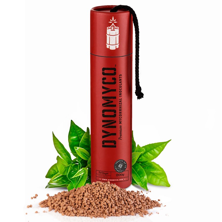 Dynomyco 优质菌根接种剂