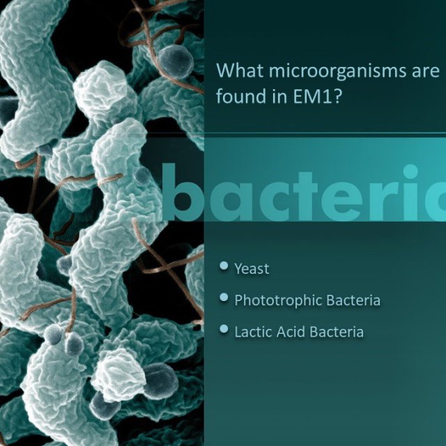 比嘉博士 EM1 微生物接种剂(浓缩)