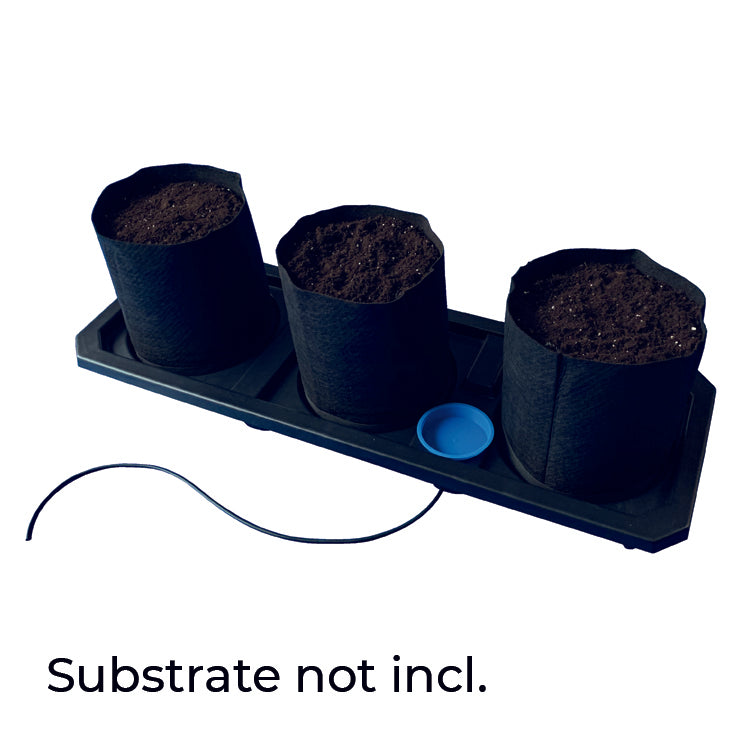 Autopot Tray System