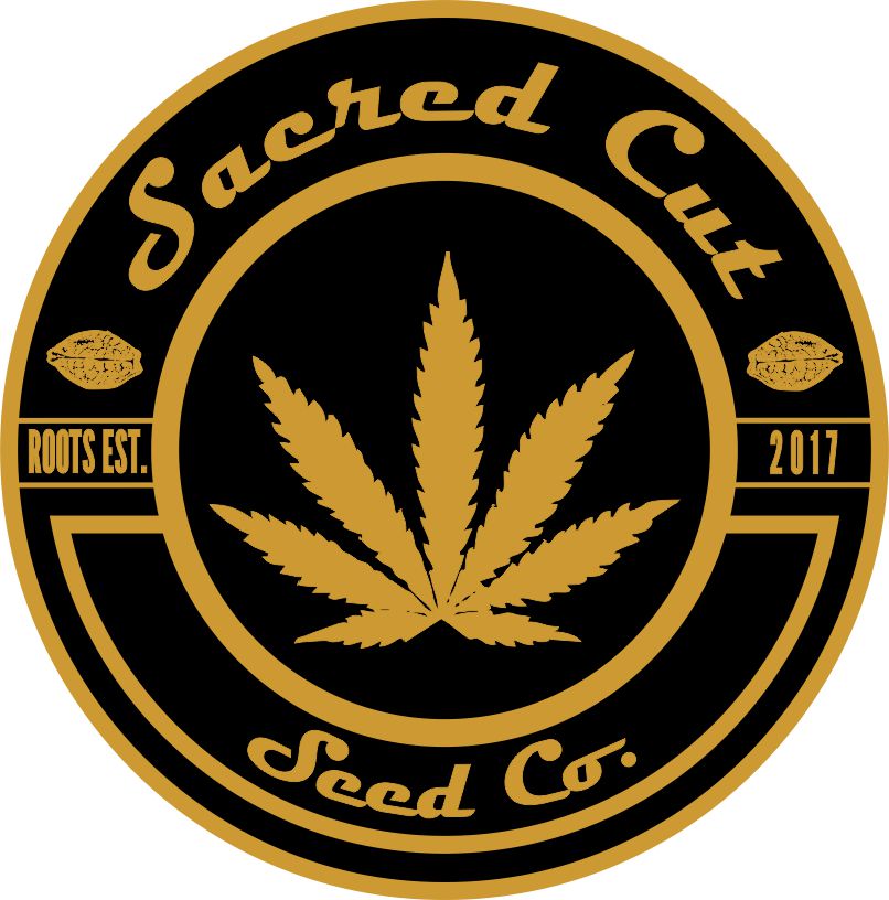 神圣切割/樱桃派库什呼吸交叉 (REG)