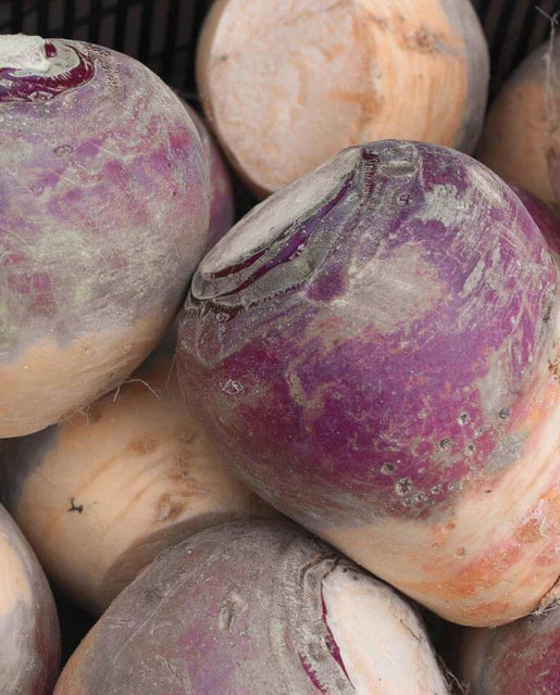 West Coast Seeds (Laurentian)