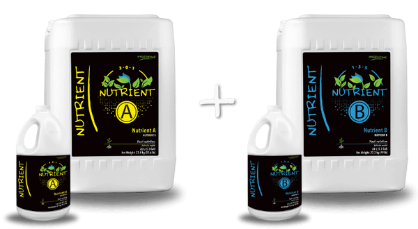 Hygrozyme Nutrient A (3-0-1) & B (1-3-5) (Sale 20% OFF)