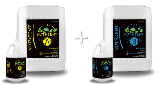 Hygrozyme Nutrient A (3-0-1) & B (1-3-5) (Sale 20% OFF)