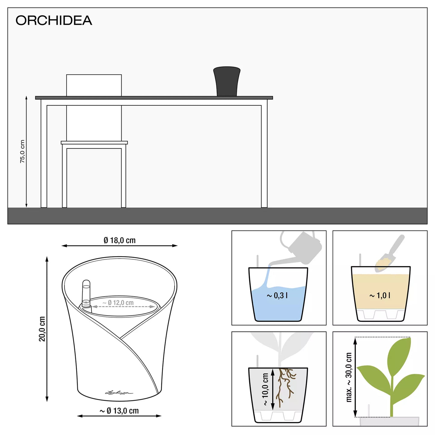 Lechuza Orchidea (Special Order)