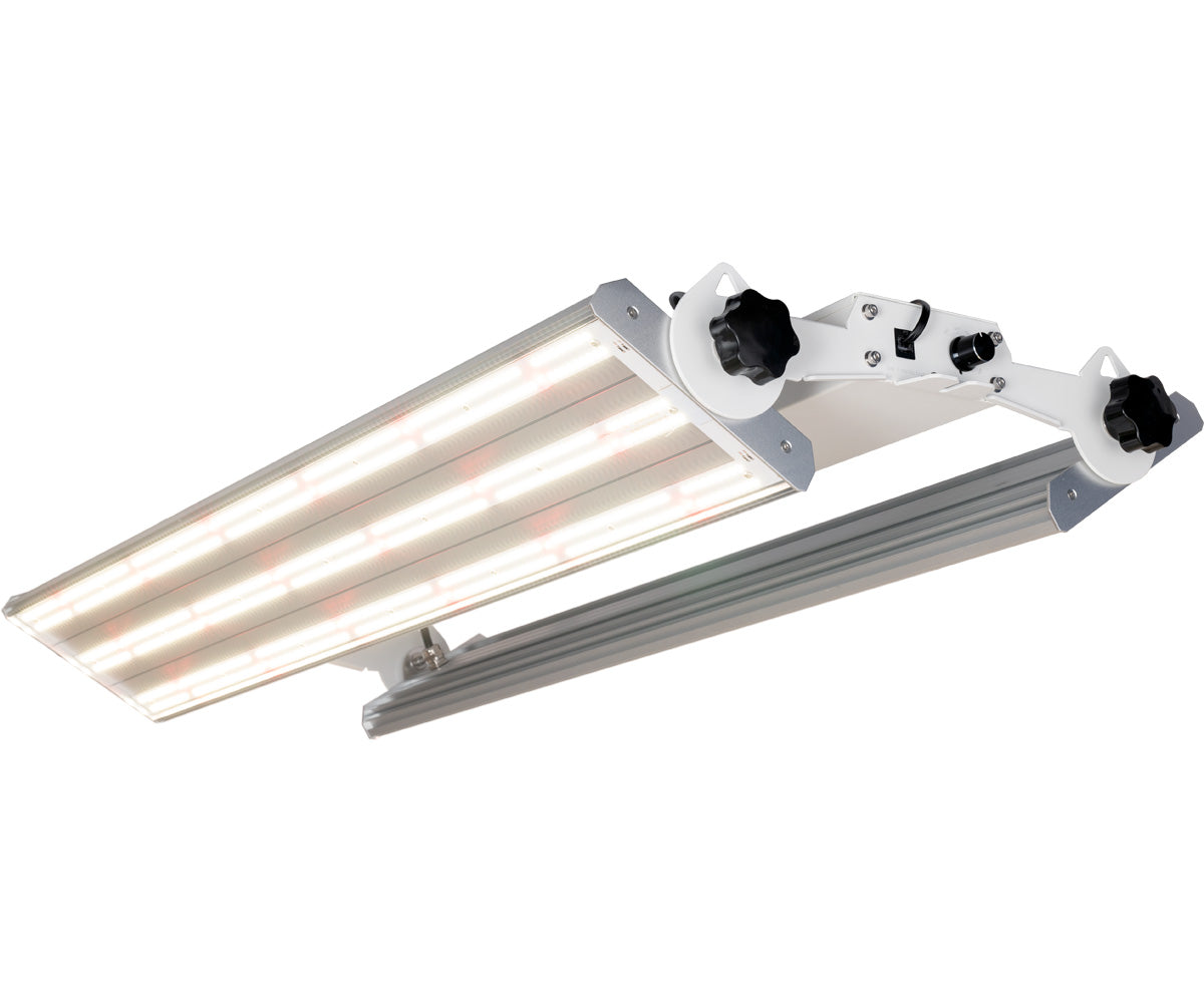 Phantom PHENO 440 LED,440W,100-277V,MP Spectrum(特别订单)