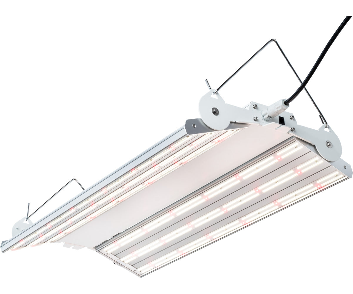 Phantom PHENO 440 LED, 440W, 100-277V, MP Spectrum (Special Order)
