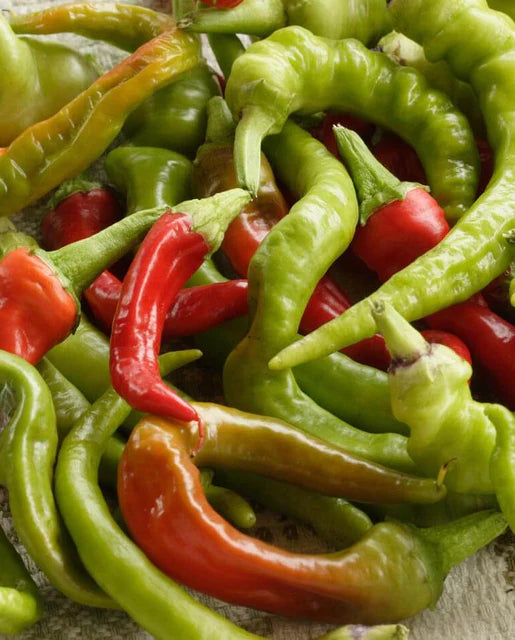 West Coast Seeds (Pepperoncini)