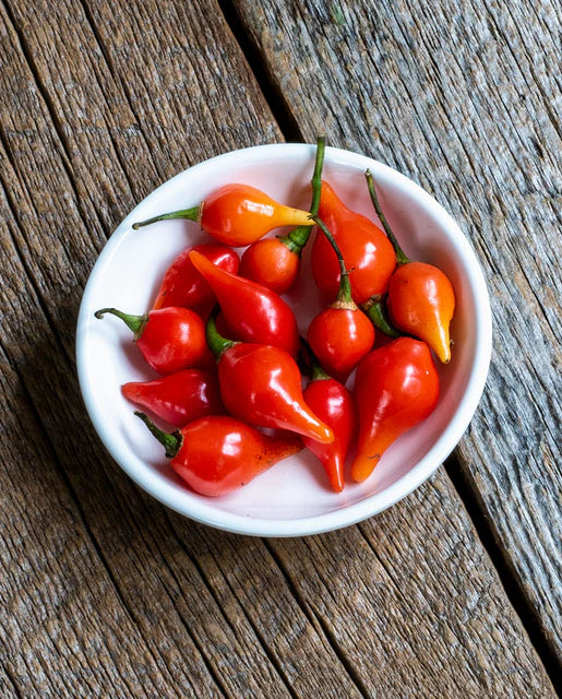 West Coast Seeds (Biquinho Red)