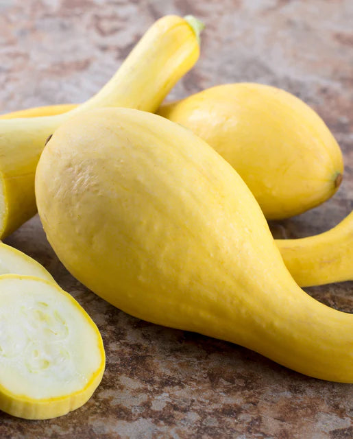 West Coast Seeds (Golden Summer Crookneck)