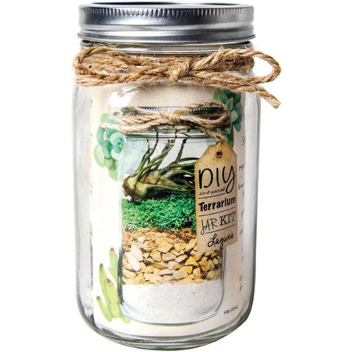 SuperMoss 玻璃容器DIY套件