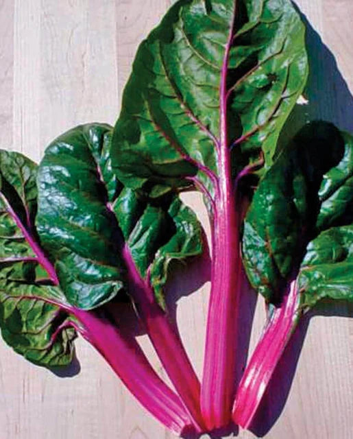 West Coast Seeds (Magenta Sunset)