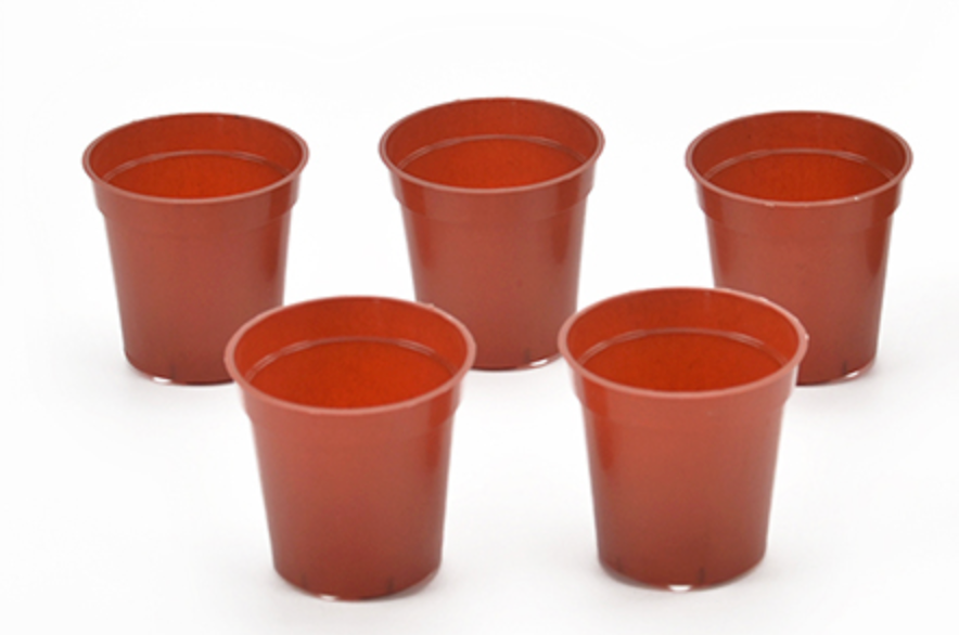 Nursery Transplant Flower Pots