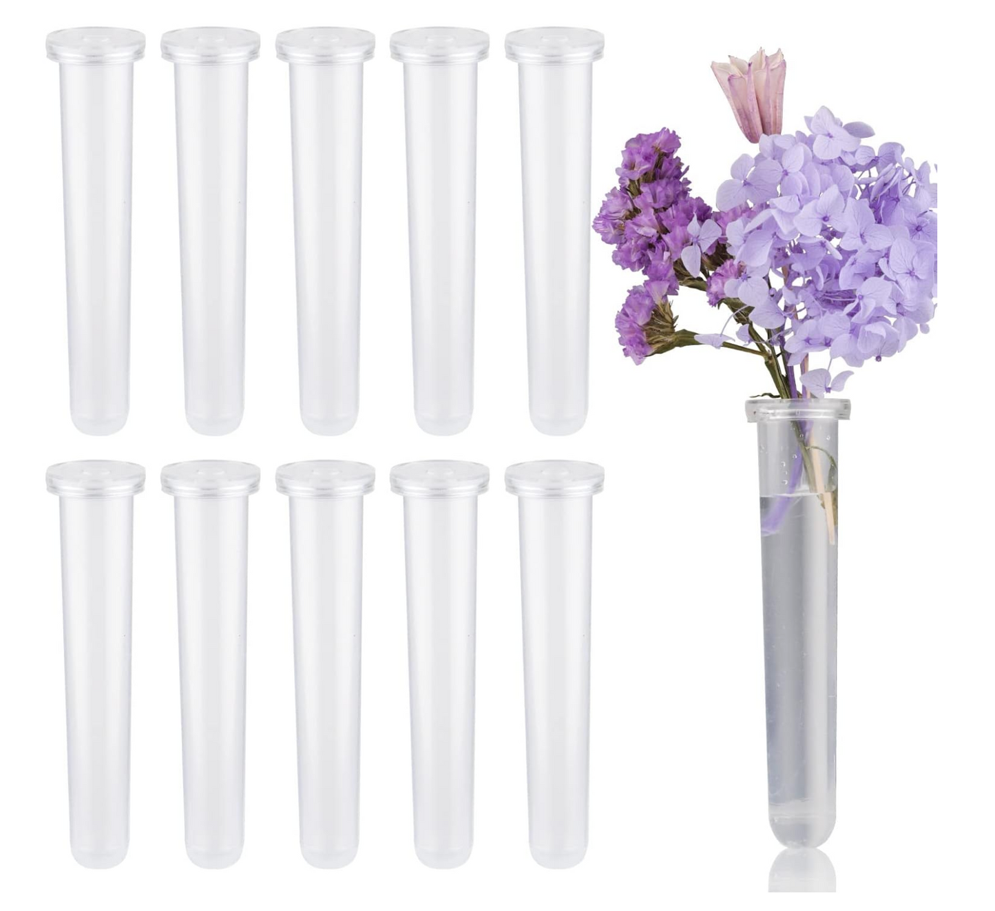 Transparent Plastic Plant Tube (0.5 x 2.7")