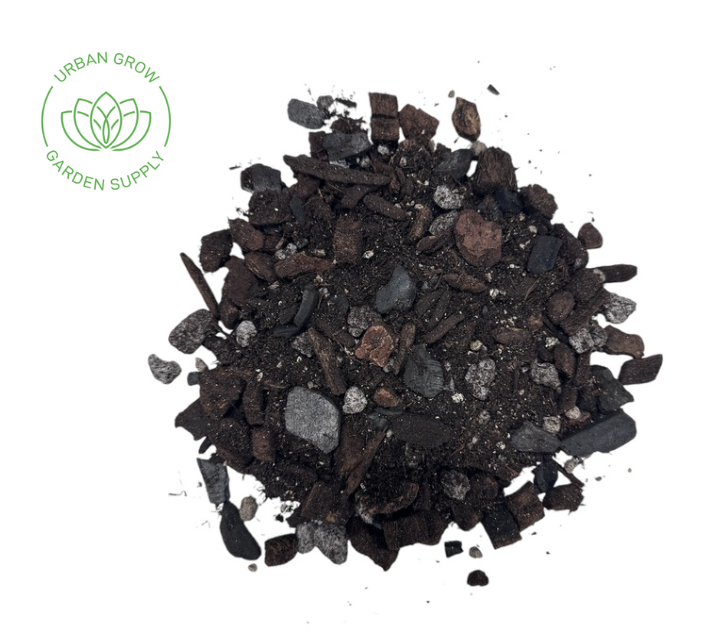 Mélanges d'Aroid de culture urbaine