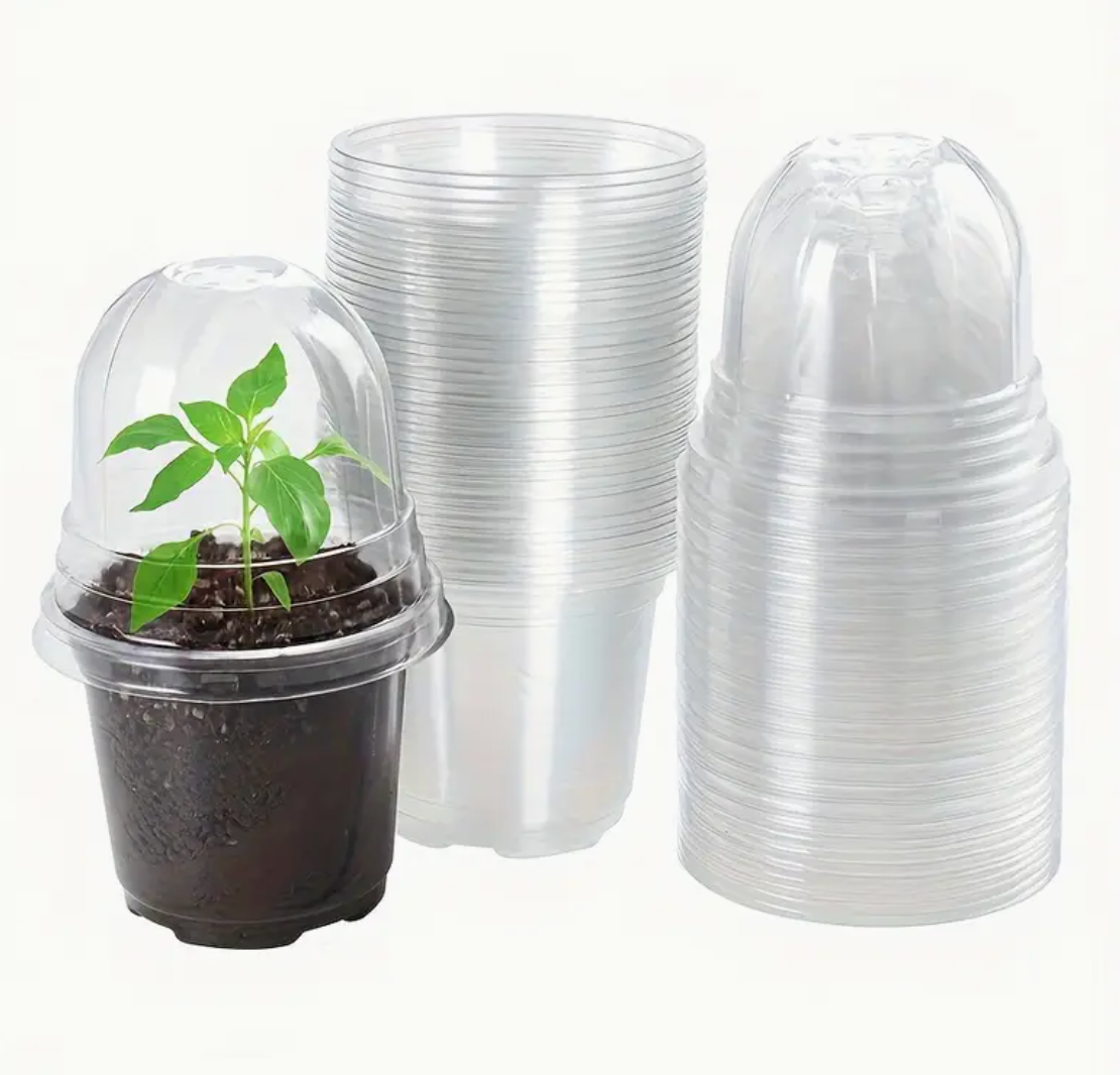 Clear Nursery Pot & Dome (4")