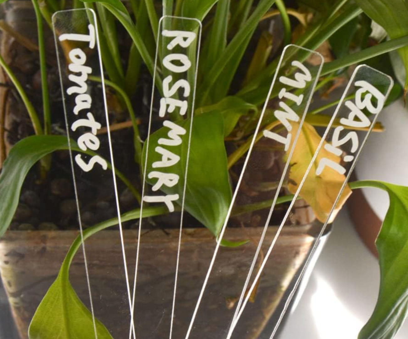 Clear Acrylic Plant Labels