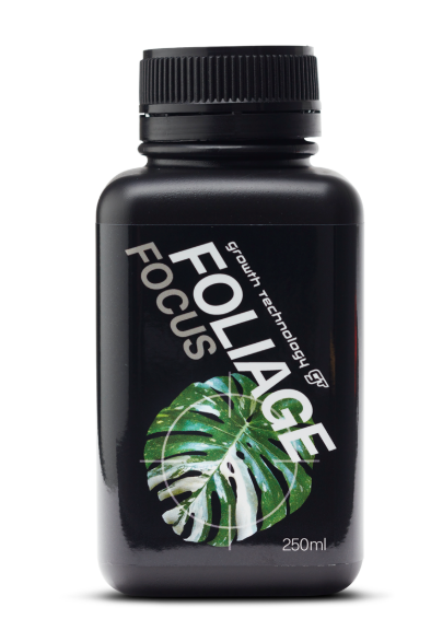 Croissance Technologie Feuillage Focus