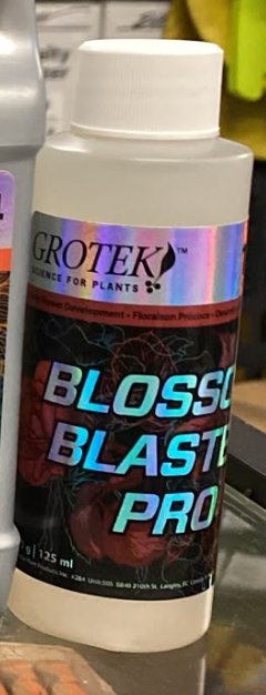 Grotek Blossom Blaster Pro / 4.7 Oz (CLEARANCE 30% OFF)