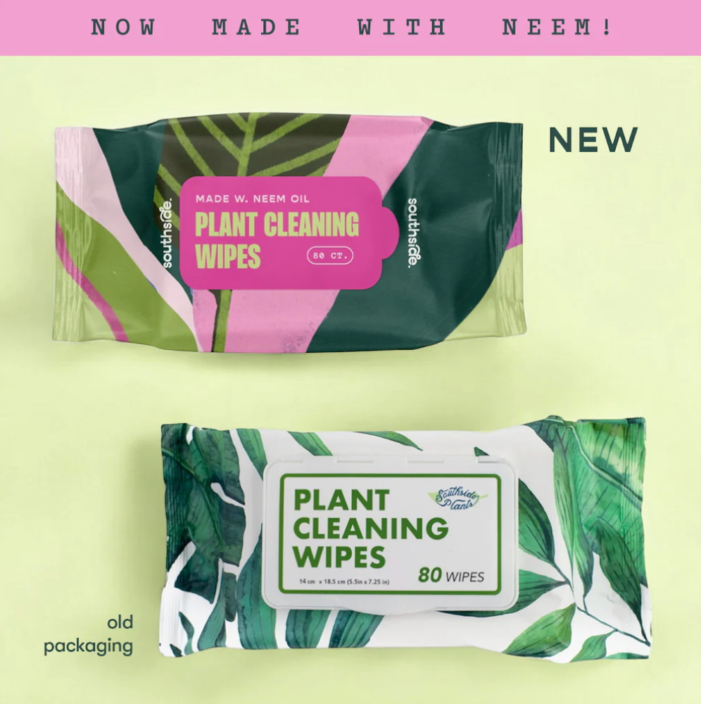 Houseplant Dusting Wipes (80 Sheets)