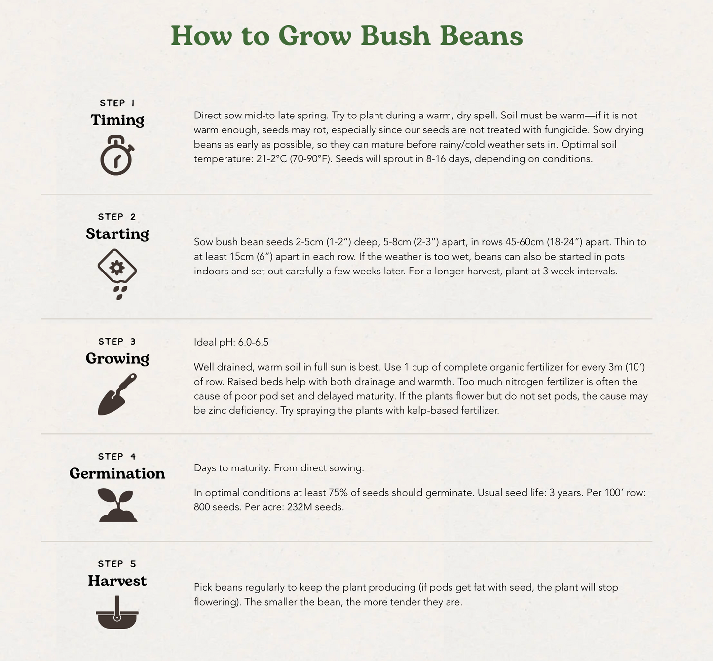 West Coast Seeds (Mascotte Bush Bean Seeds)