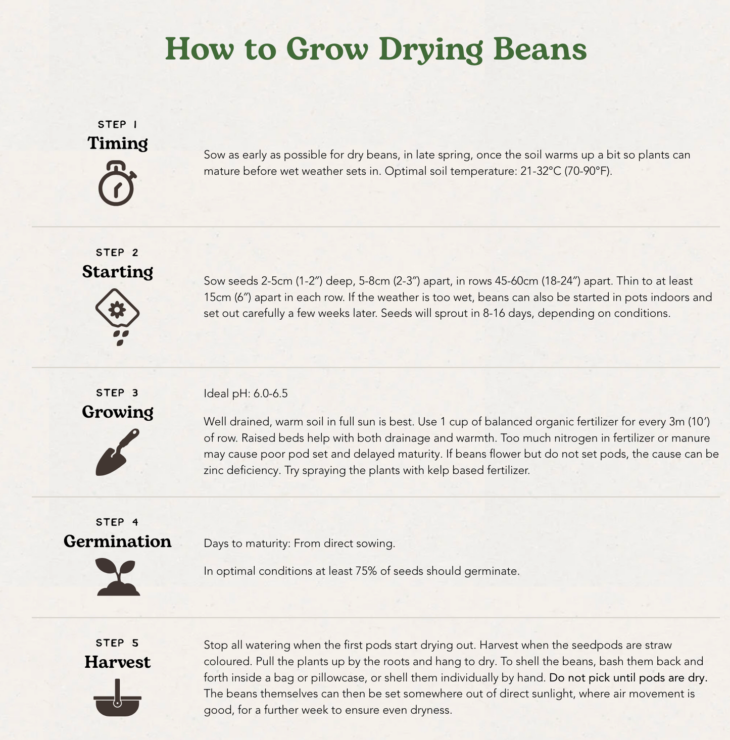 West Coast Seeds (Calypso Bean)