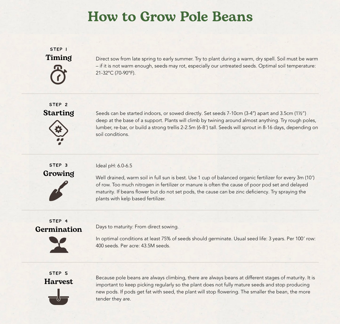 West Coast Seeds (Seychelles Organic Bean)