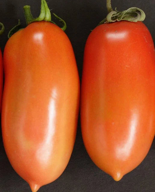 West Coast Seeds (La Roma)