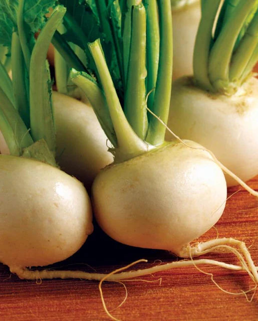 West Coast Seeds (Hakurei)
