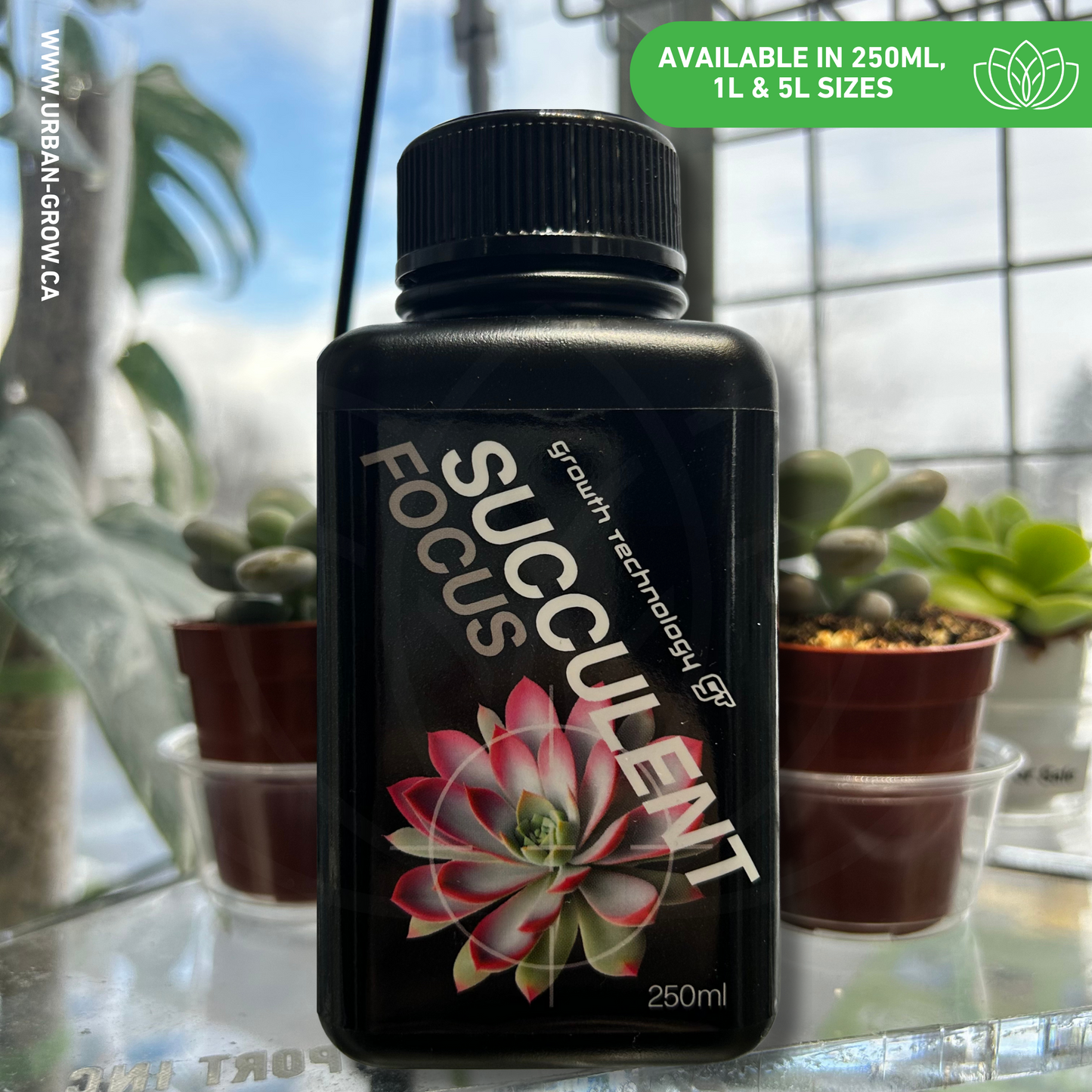Growth Technology Succulent Focus