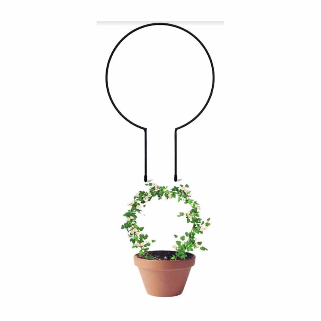 Support pour plantes en treillis métallique