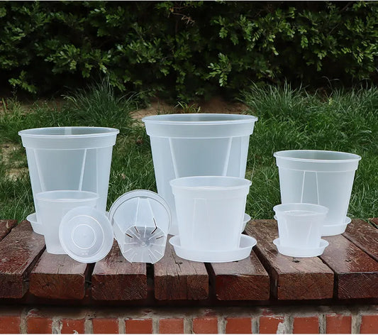 Pots d'orchidées transparents