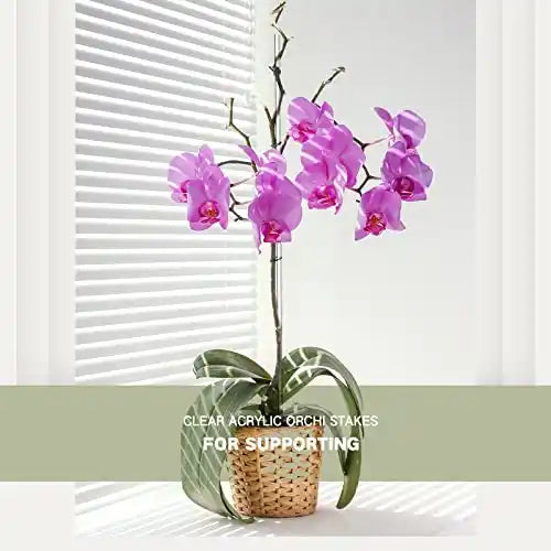 Clear Acrylic Plant Stakes (1.3 Feet)