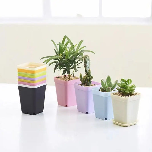 Pots de pépinière carrés (2,7")