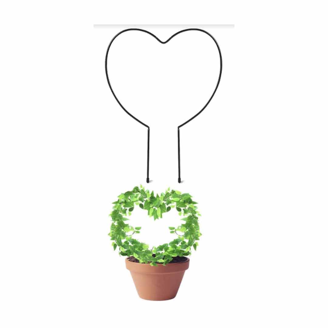 Support pour plantes en treillis métallique