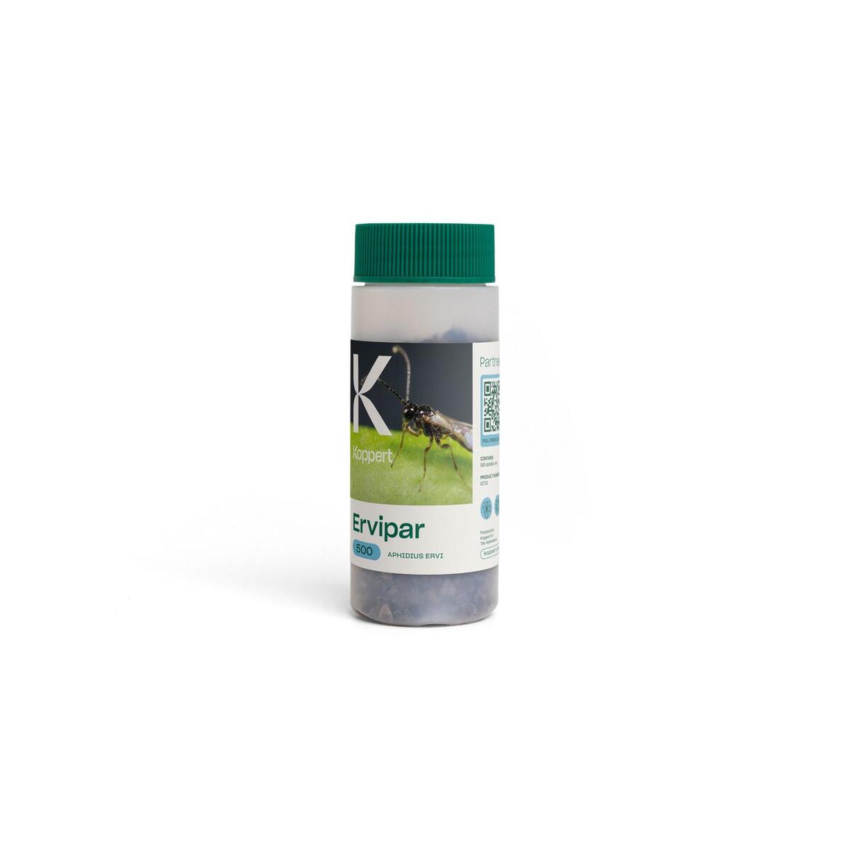 Koppert Ervipar Aphid Control (Parasitic Wasps)