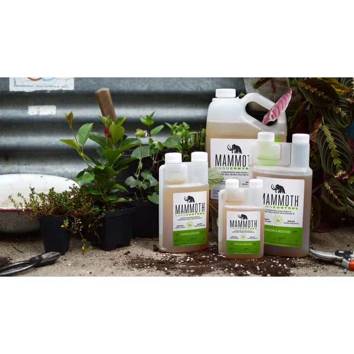 Mammoth CannControl (Fungicide & Insecticide)