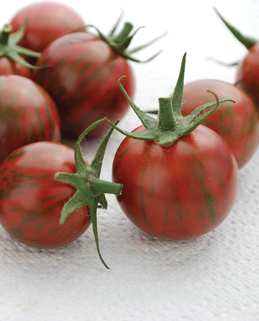 West Coast Seeds (Purple Bumble Bee Tomatoes) (Organic)