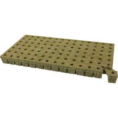 Grodan A-OK Starter Plugs - Propagation and Cloning