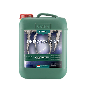 美人蕉Rhizotonic XP