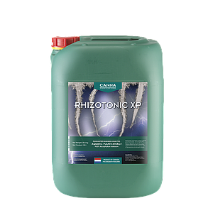美人蕉Rhizotonic XP