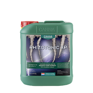 美人蕉Rhizotonic XP