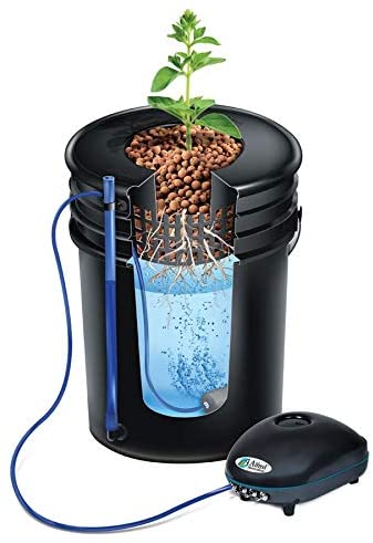 Alfred Hydroponic Deep Water Culture System DWC - Equipment