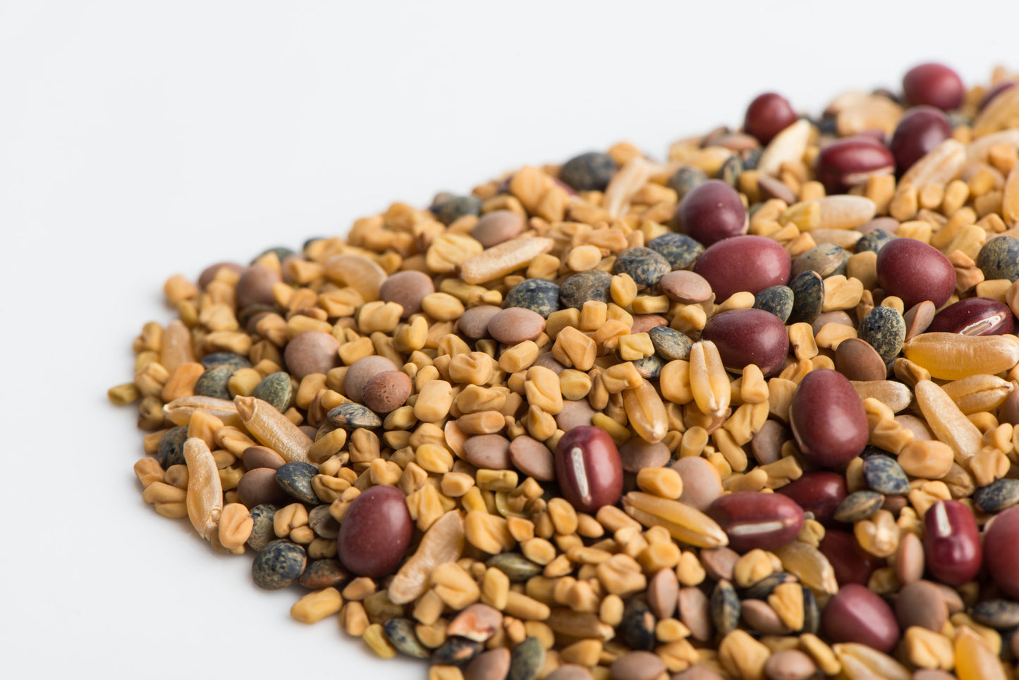 Mumm's Sprouting Seeds Ancient Eastern Blend