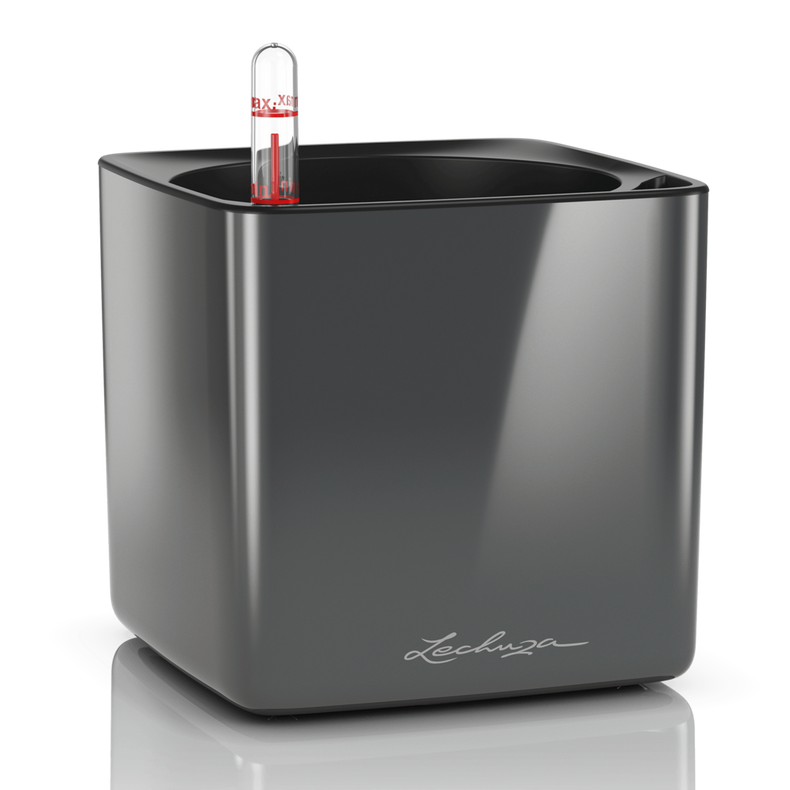 Lechuza Cube Glossy (Special Order)